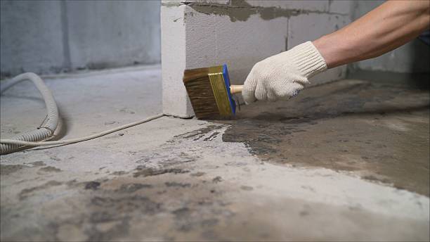 SJ Waterproofing Pros Emergency Waterproofing coverage map for Clayton, AL and surrounding area
